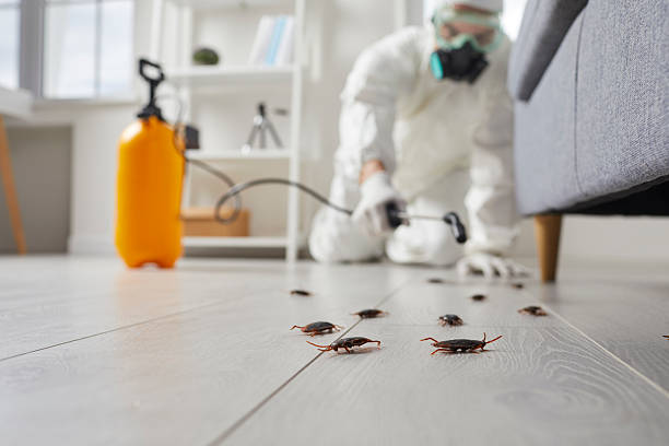 Commercial Kitchen Cockroach Control in Walterboro